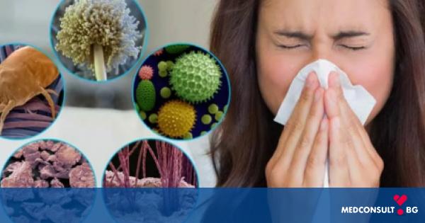 Алергия към прах