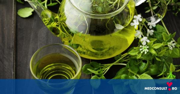 Зелен чай: ползи и вреди за организма