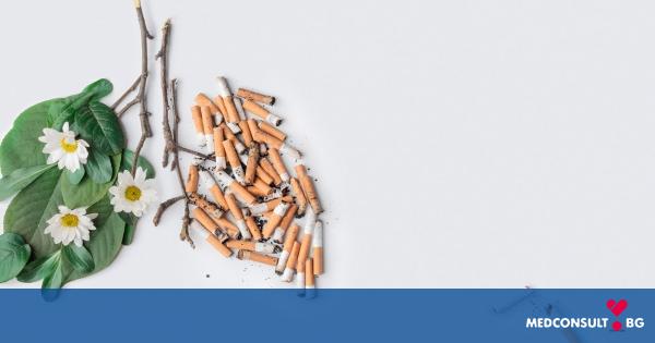 Колко време отнема възстановяването на белите дробове след отказване на цигарите