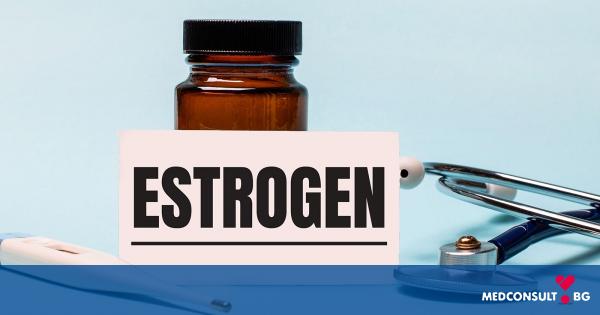 6 храни, които трябва да ядете, ако ви липсва хормонът естроген