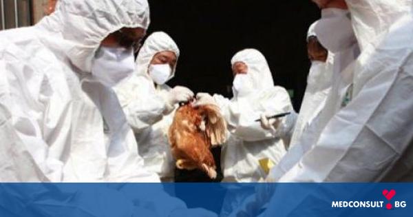 26 огнища на птичи грип в пет области в страната са потвърдени