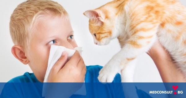 Алергия към домашни любимци при деца