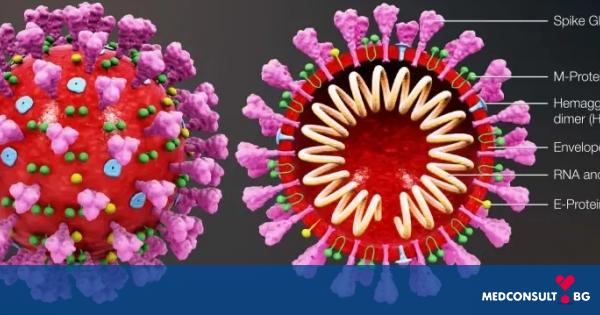 Коронавирусът е мутирал в поне 30 различни щама