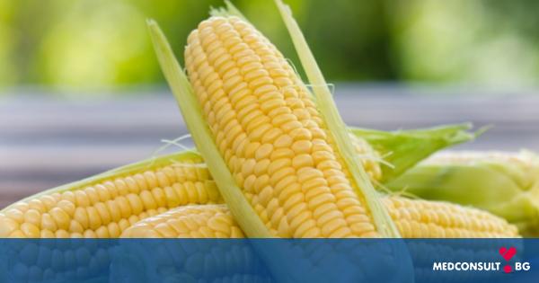 Какви са ползите от царевицата за здравето на човек