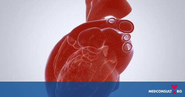 Дефекти на сърдечните клапи - защо и как се проявяват