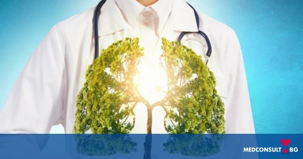 8 фактора, които вредят на белите дробове