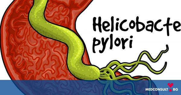 Какво могат да предизвикат бактериите Helicobacter pylori